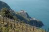 cinque terre - paesaggio