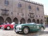 austin healey 100M race car