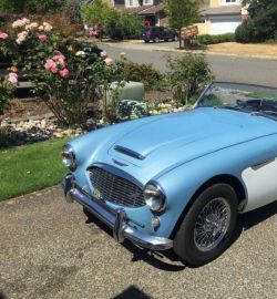 AUSTIN HEALEY (GB) 3000 BN7/BT7