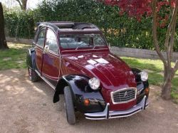 CITRON (F) 2 CV