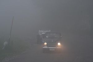 la nebbia aponte di legno